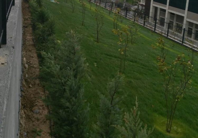 Tema İstanbul Site Bahçe Çimlendirmesi, doğal tohum halısı, rulo çim